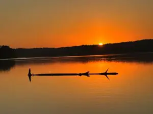 Sunset over calm lake with floating log