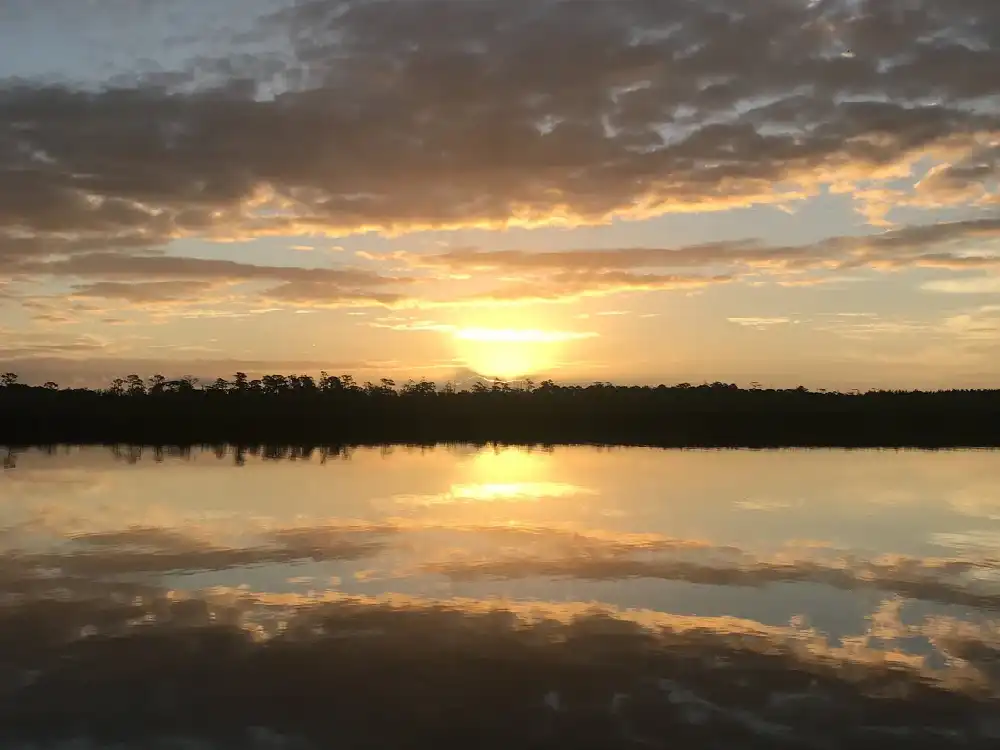 Sunset reflecting on a calm lake with silhouetted trees.