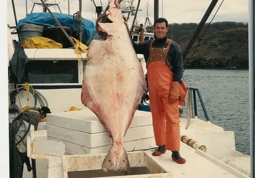 Man in orange overalls holding a large halibut on a boat deck.