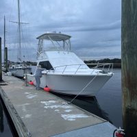 White yacht docked at a marina under cloudy skies.